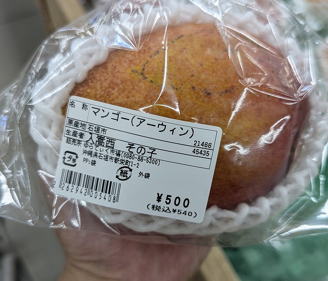 500日圓的巨大芒果