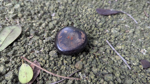 Banna公園的Modama