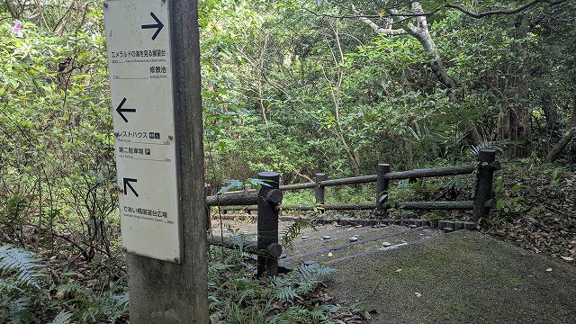 螢火蟲入口階梯