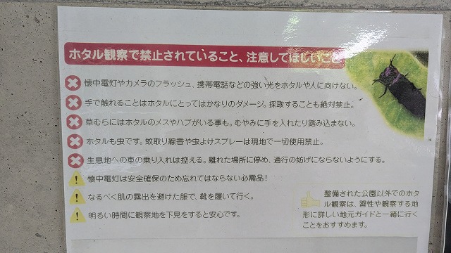 螢火蟲觀賞注意事項