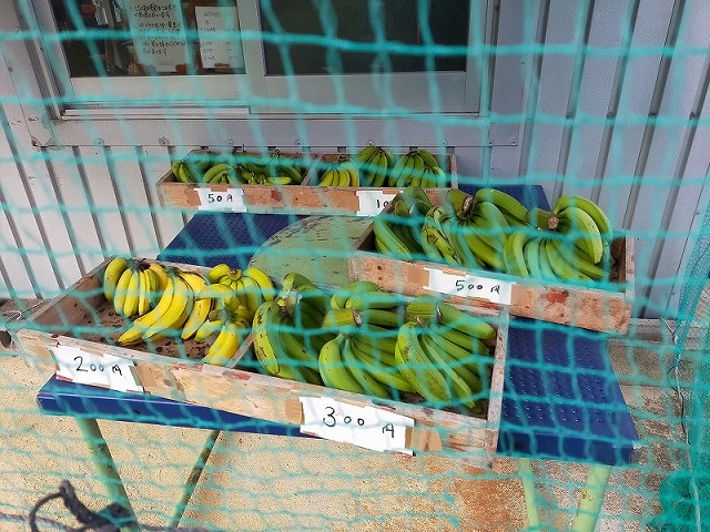 無人販賣攤上的香蕉