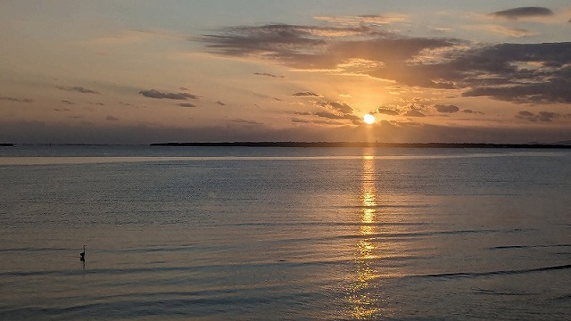 舟藏公園步道的景色