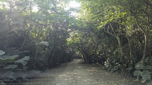 通往 Furusutobaru 遺跡的路