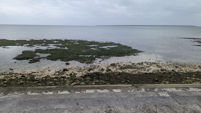 從步道看到的淺灘岩場和大海