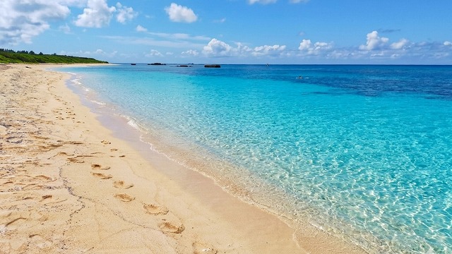 波照間島 Nishi 濱的波照間藍