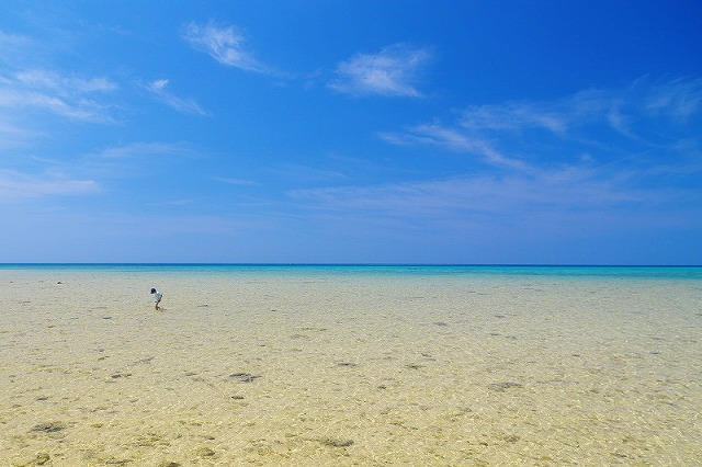 在大自然中玩耍的孩子