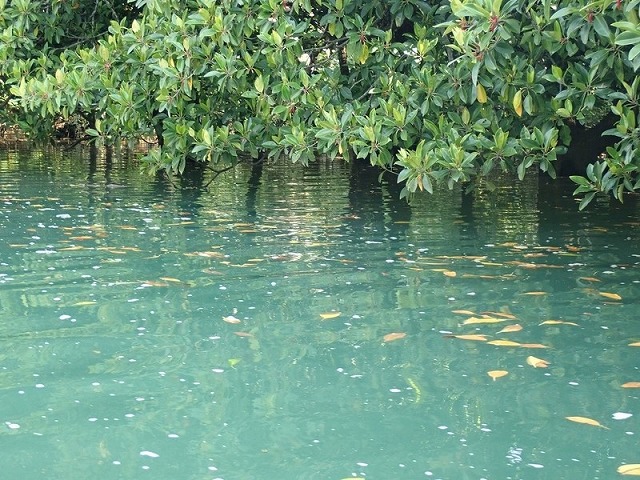 水面倒映著天空