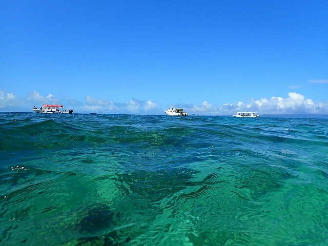 外海可見的潛水船