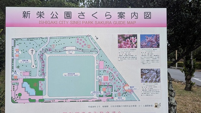 新榮公園的風景