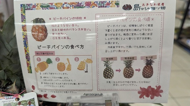石垣島鳳梨品種指南