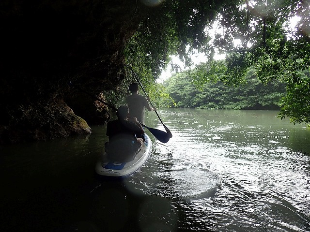 紅樹林獨木舟的形象圖