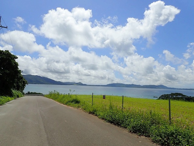 越過牧場綠地俯瞰名藏灣的風景