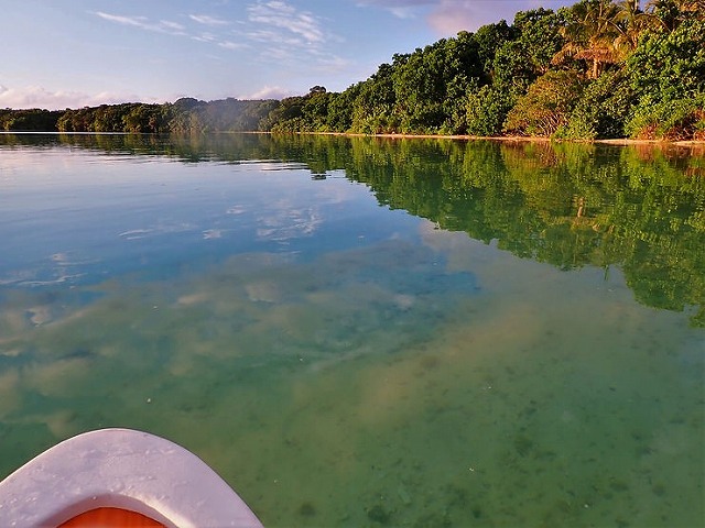 水面映照的綠意