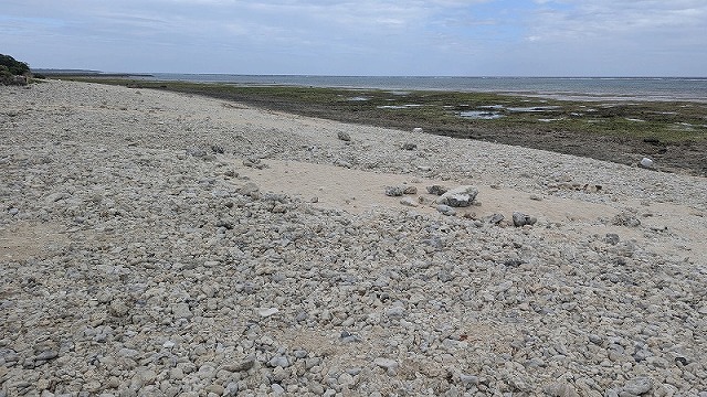 珊瑚碎石的水邊和地平線