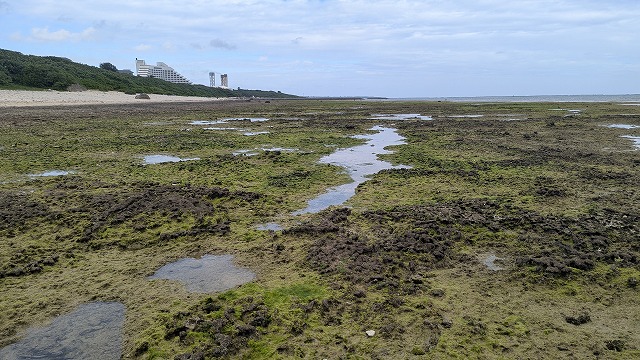 石垣島的海和天空