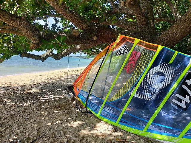 崎枝南濱的欖仁樹樹蔭