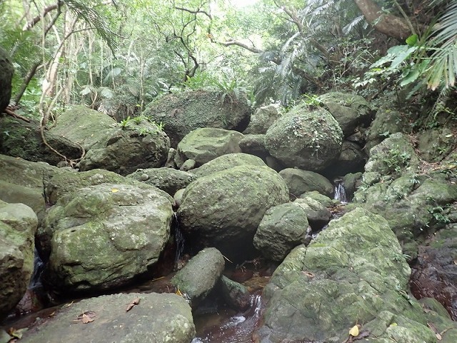 容易滑倒的岩場