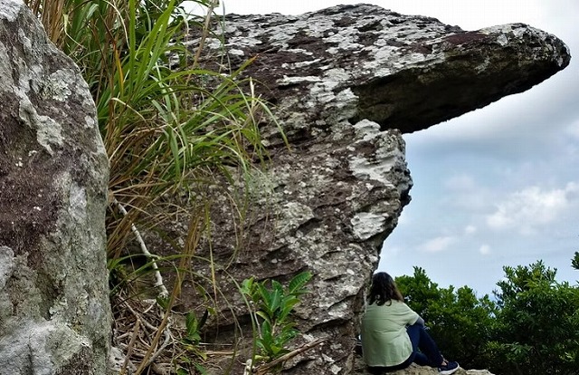 被稱為巨人之舌的岩石